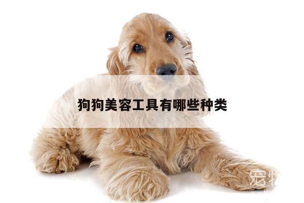 狗狗美容工具有哪些种类